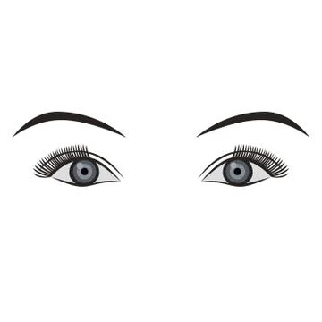 Object pair of eyes grey isolated Stock Illustration
