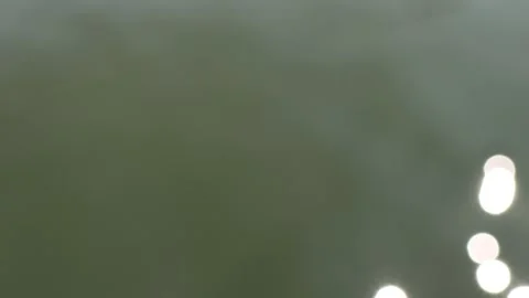 Object Sinking in Murky Water Video stock 289259664