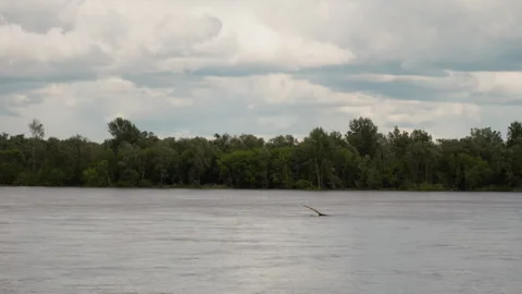 Object Sinking in River with Forest Horizon under Cloudy Sky Video stock 322654280