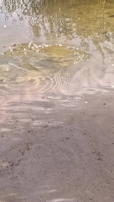 Object splash disturbing shallow sandy water creating ripples Stock Footage 317518646