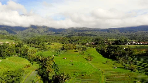 The object of the UNESCO world heritage rice terraces Jatiluwih. Rice terraces Stock Footage 128393213