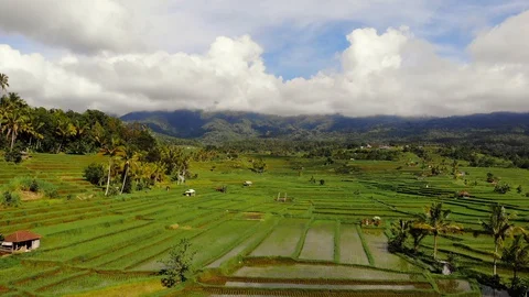 The object of the UNESCO world heritage rice terraces Jatiluwih. Tourist dest Stock Footage 128393271