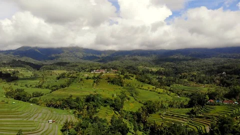 The object of the UNESCO world heritage rice terraces Jatiluwih. Tourist dest Stock Footage 128393441