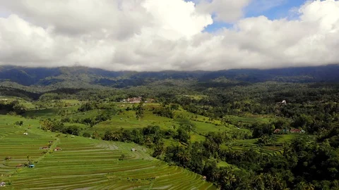 The object of the UNESCO world heritage rice terraces Jatiluwih. Tourist dest Stock Footage 128393480