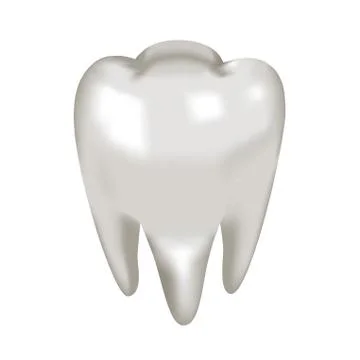 Object white tooth molar Stock Illustration