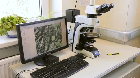 Objective lens of Light Microscope Stock Footage 100460773