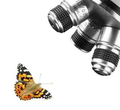 Objective Lens of Microscope and butterfly Isolated on the White Background Stock Photos