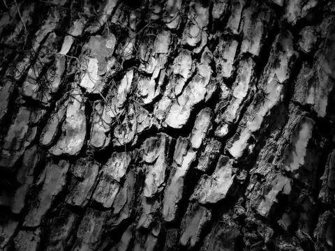 Objects and abstract  Stock Photos