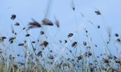 Objects and landscape Stock Photos