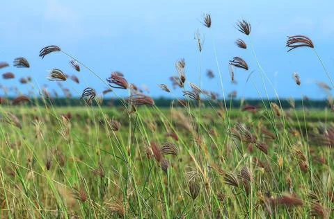 Objects and landscape Stock Photos