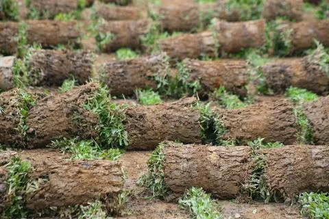 Objects and landscape Stock Photos