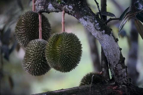 Objects and nature Stockfoto's