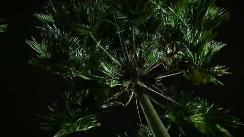 Objects and outdoor Stock Footage 303026438