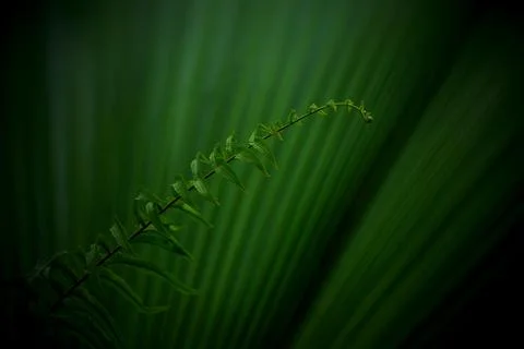 Objects and outdoor Stock Photos