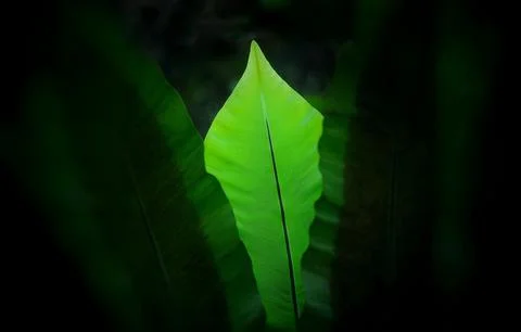 Objects and outdoor  Stock Photos