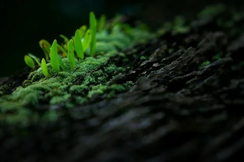 Objects and outdoor Stock Photos