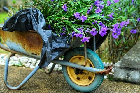 Objects and outdoor Stock Photos