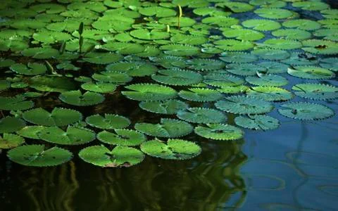 Objects and outdoors Stock Photos