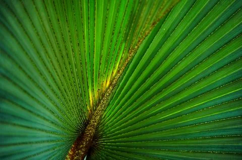 Objects and outdoors Stock Photos