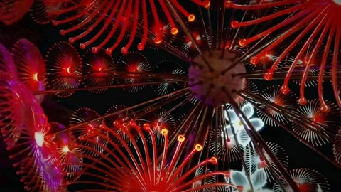 Objects and technology Stock Footage 329678007