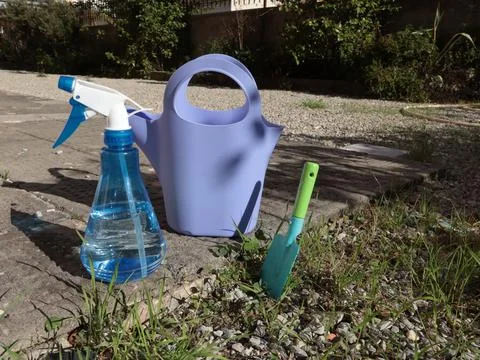 Objects and tools for gardening on sunny day. Watering can, shovel, sprayer Stock Photos