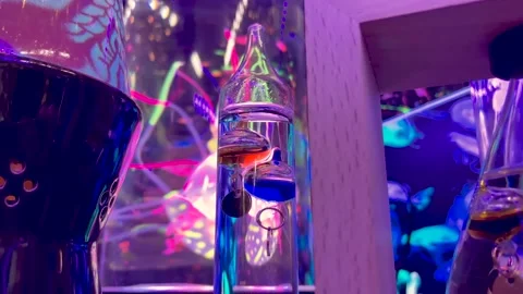 Objects on Display Close-Up Video stock 237901586