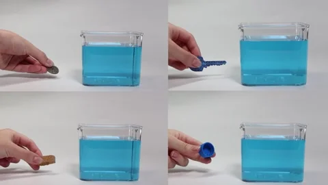 Objects Floating and Sinking in Water Experiment Video stock 308227809