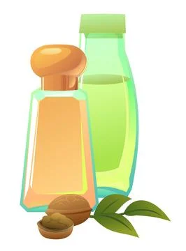 Objects natural Walnut oils. Still life. Extracted from nuts and plant seeds Stock Illustration