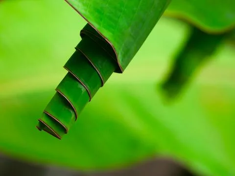Objects Stock Photos