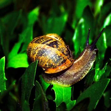 Objects Stock Photos