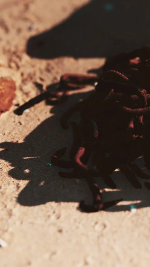 Objects on sand as shadows show texture and shape during the day Stock Footage 346673028