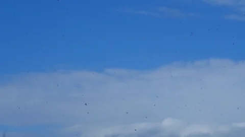 Oblaka snezhinki 1 Stock Footage