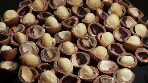 Oblique Angle Rotating Cracked Macadamia Nuts Pattern. Video stock 332832942