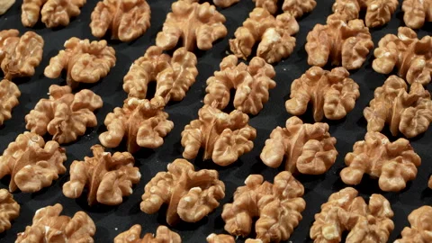 Oblique High Angle Shelled Walnut Kernels Rows Rotating Video stock 332522621