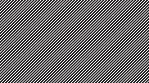 Oblique straight black lines pattern Stock Footage 150395316