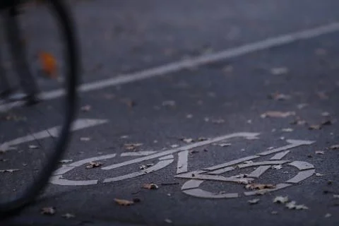 Oblique view on cycle path in early morning light with bicycle driving through Stock Photos