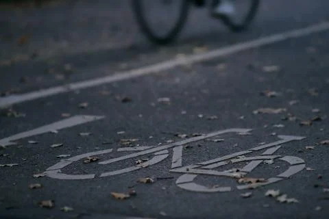 Oblique view on cycle path in early morning light with a slow bicycle in back Stock Photos