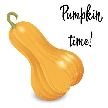 Oblong orange pumpkin isolated on white background. Vector Illustration Ilustración de archivo