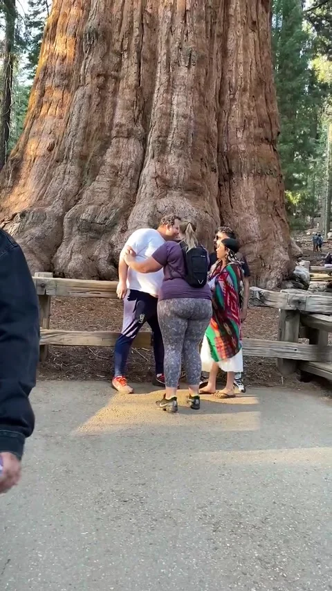 Obnoxious Man Crashes Couple's National Park Photo Op, Sequoia National Park, Ca Stock Footage 316778482
