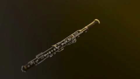 Oboe. Classical Instrument. Presentation in beautiful light. Stock Footage 239016792
