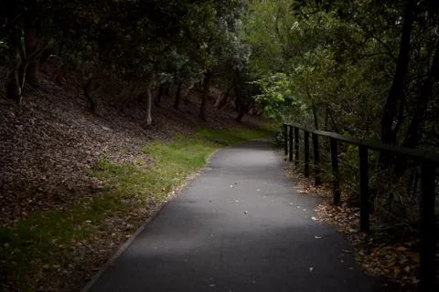 Obscure Pathway 스톡 사진