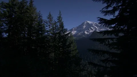 Obscured Glimpse at Mount Rainier Through Forest of Pine Trees Stock Footage 86755173