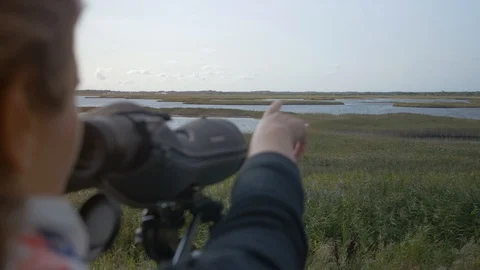 Observation in the field trying to spot animals ina nature reserve Stock Footage 94670671