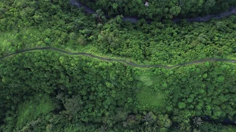 Observation hiking trail winds slightly at crest of ridge of hills, aerial view Stock Footage 236614965