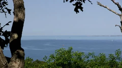 Observation Hill Martha's Vineyard Stock Footage 12253199
