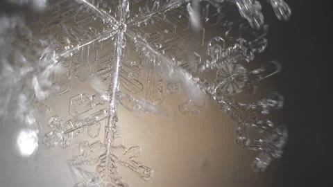 Observation of a melting snowflake under a microscope. Science project. Stock Footage 233428572