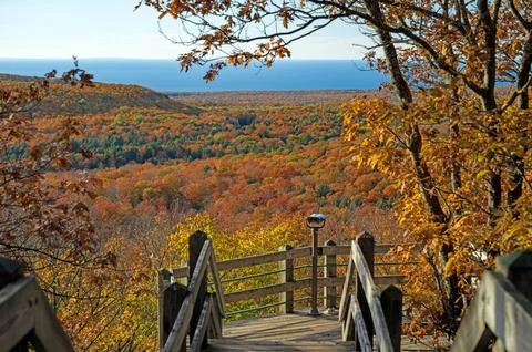 Observation Point in the Peak of Fall 스톡 사진