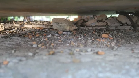 Observation through an aperture between concrete blocks Video stock 119489070