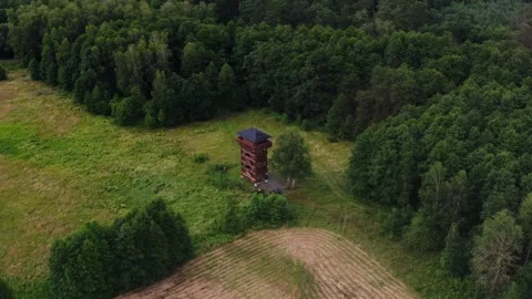 Observation Tower on the field and forest edge Stock Footage 278866859