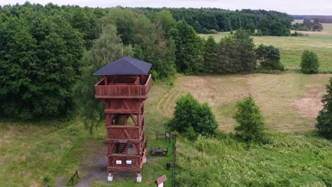 Observation Tower on the field and forest edge Stock Footage 278866870